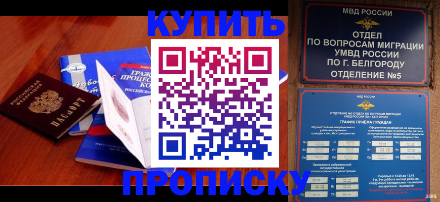 прописка гарантия в Боровичах